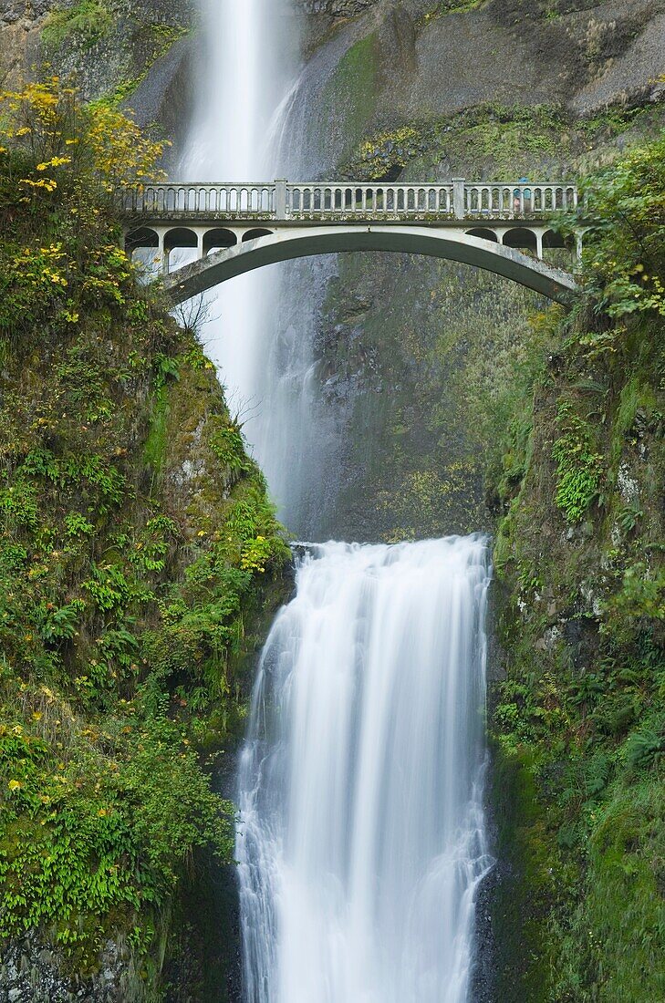 Multnomah Falls, one of the most well known scenic attractions in Oregon and the Pacific Northwest, Columbia River Gorge National Scenic Area Oregon