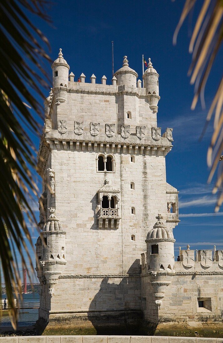 BelÃ©m Tower through palm leaves, Lisbon, Portugal, Europe