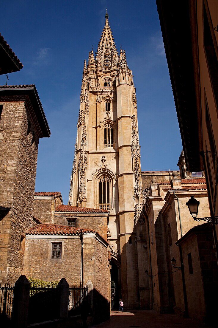 Gothic cathedral Metropolitan Church San Salvador, Oviedo, Asturias, Spain.