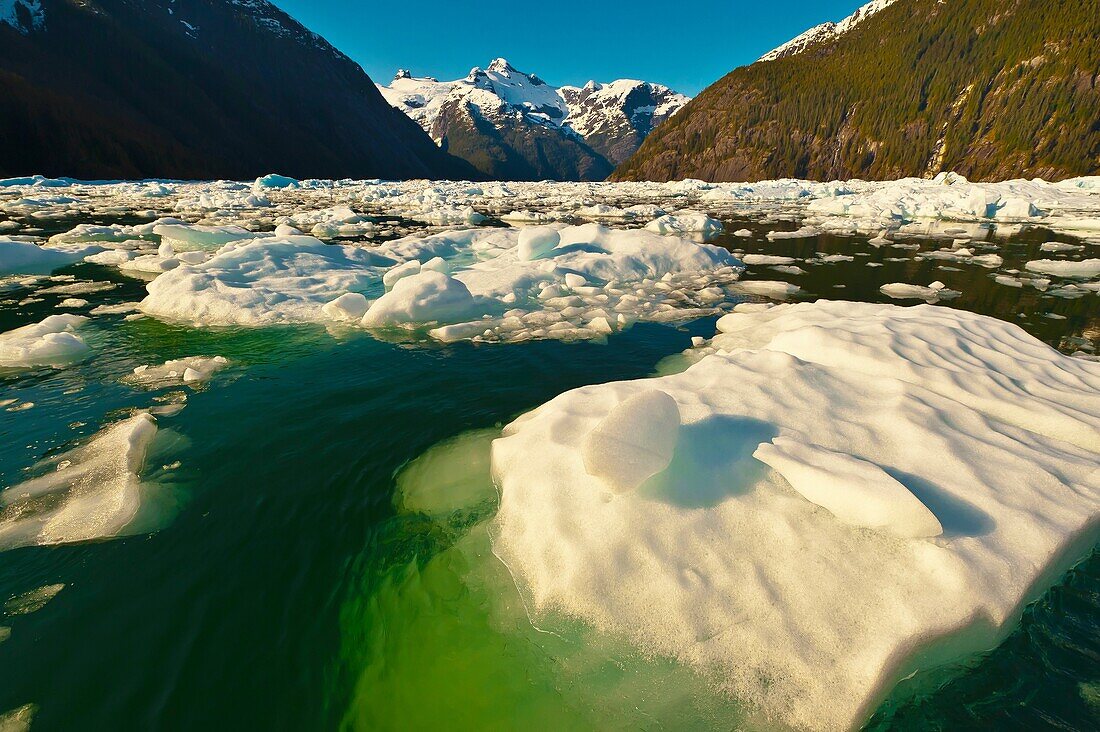Icebergs and ice floes, LeConte Bay near LeConte Glacier, between Petersburg and Wrangell, southeast Alaska USA