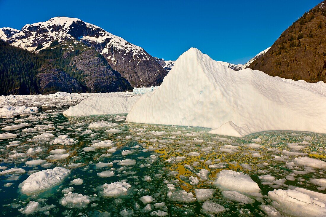 Icebergs and ice floes, LeConte Bay near LeConte Glacier, between Petersburg and Wrangell, southeast Alaska USA