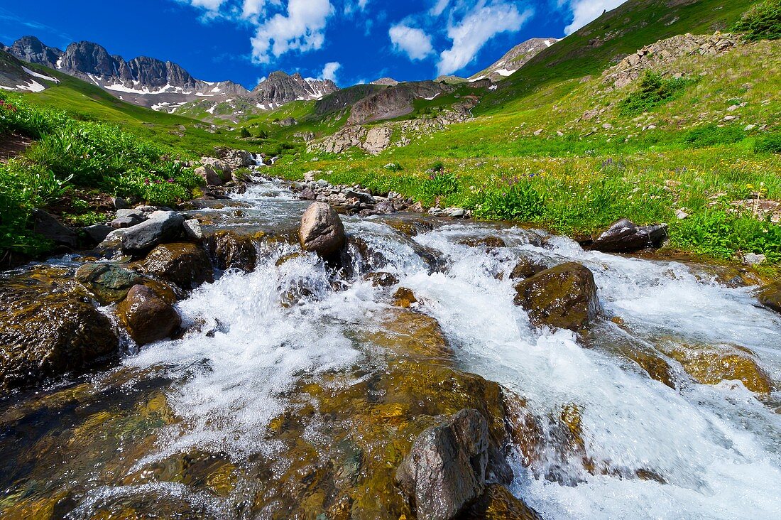 Mountain streams, American Basin, San Juan Mountains range of the Rocky Mountains, Southwest Colorado USA