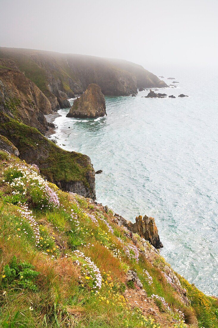 Cliffs and coastline in the fog, Ireland, Europe