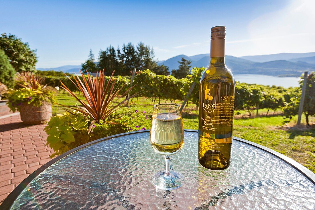 A bottle and a glass of white wine at a vineyard in the Okanagan Valley, British Columbia, Canada