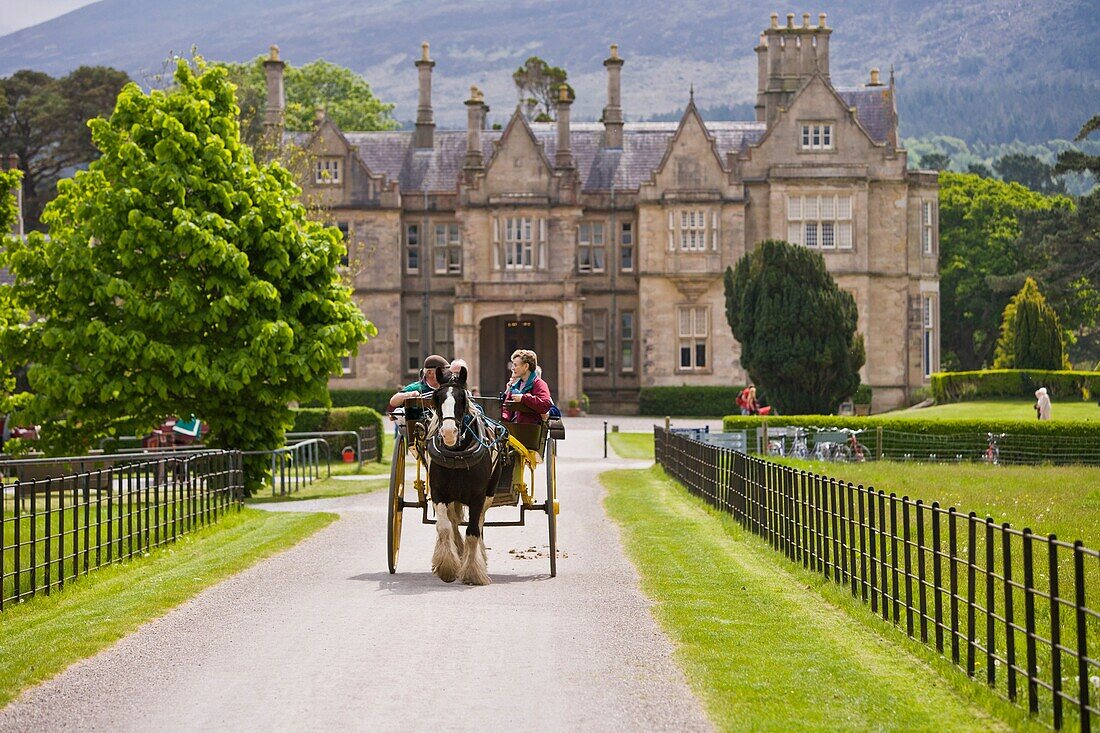 Horse carriage in front of Muckross House