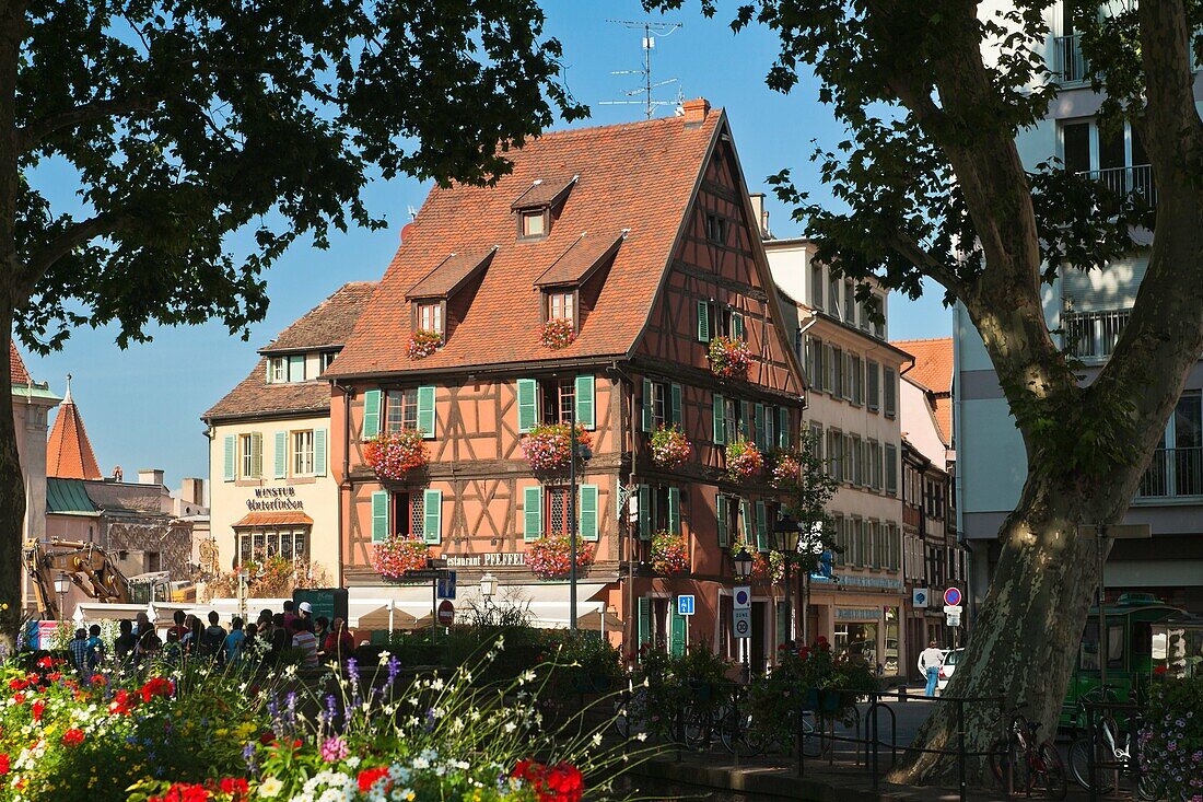 Timbered house in Colmar, Alsace, France, Europe