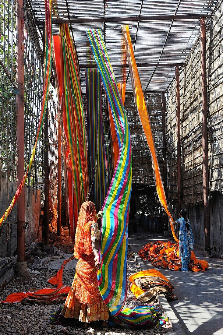 India, Rajasthan, Saree factory