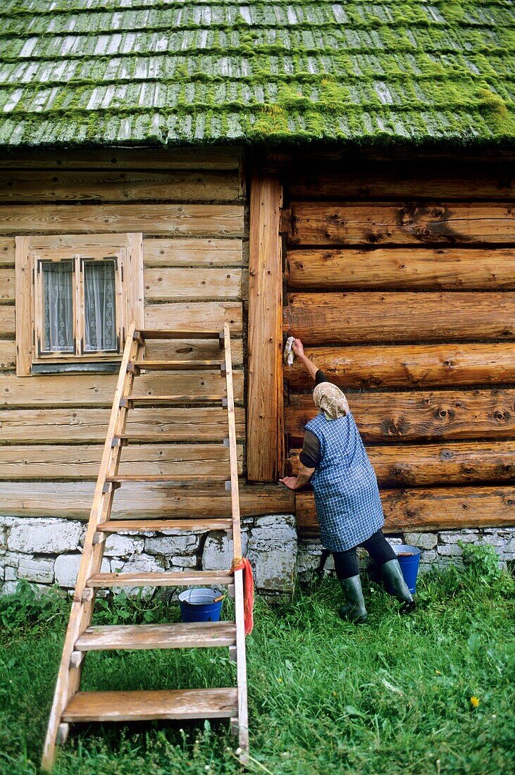 Poland, Zakopane region, Chocholow, Woman sprucing up her house prior to Corpus Christi festival  This very ancient tradition takes place twice a year, for Corpus Christi and Christmas and lasts several days  Once, a highlander would judge whether a poten