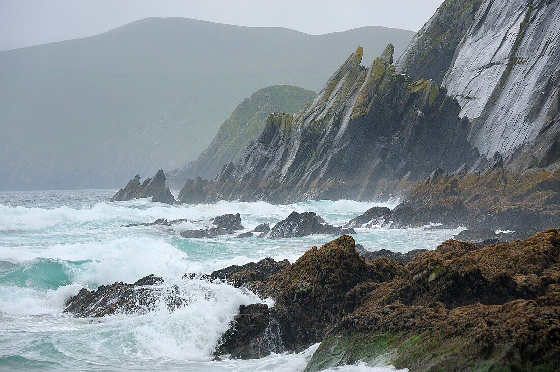 Ireland, County Kerry, Dingle peninsula, Slea Head, Stormy day