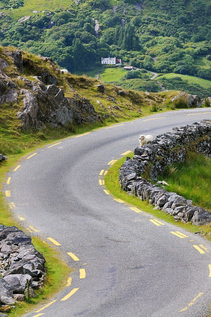 Ireland, County Kerry, Beara peninsula, Healy pass 334 m