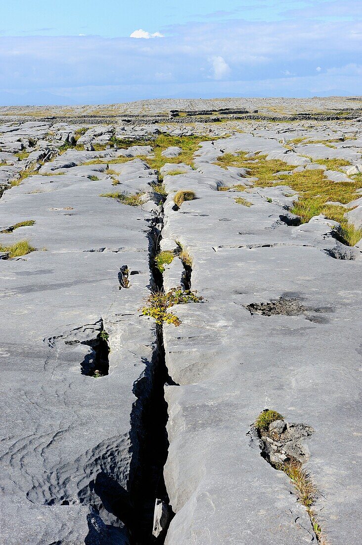 Ireland, County Galway, Aran Islands, Inishmore, Cracked limestone formations near Bungowla