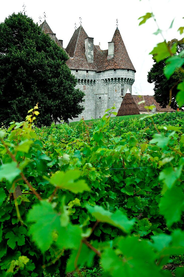 France-Aquitaine- Dordogne- ´Chaterau de Monbazillac´, estate where the famed Monbazillac wine is produced