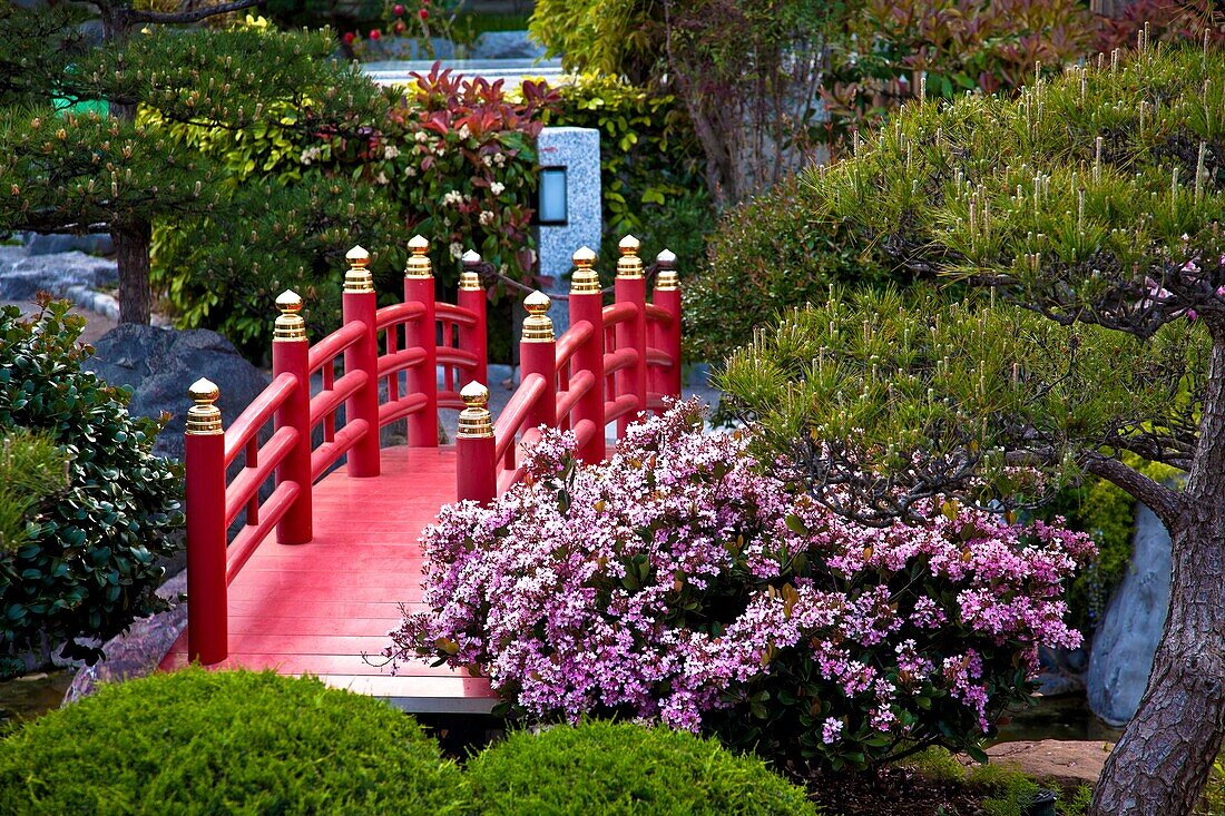 Japanese Gardens in Larvotto, Principality of Monaco, Europe