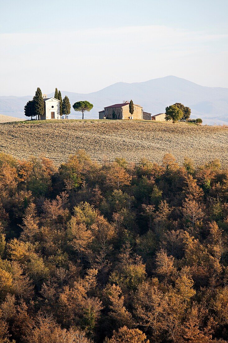landscape, autumn, san quirico d´orcia, siena province, tuscany, italy, europe