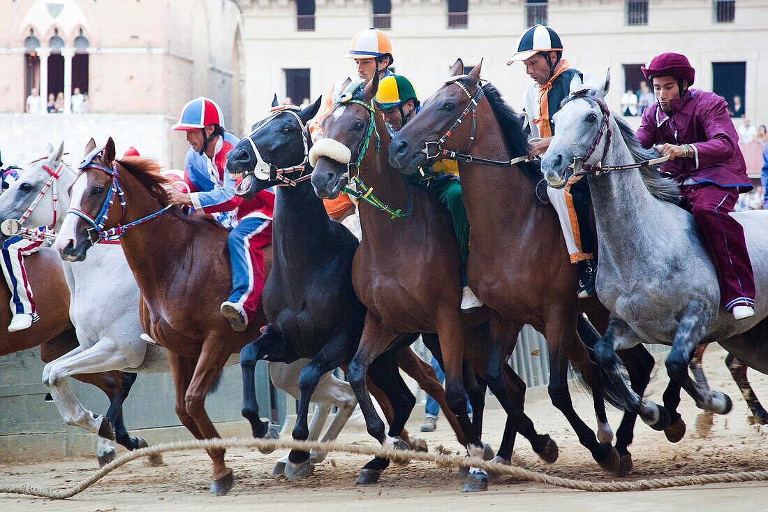 palio of siena, the start, siena, tuscany, italy, europe