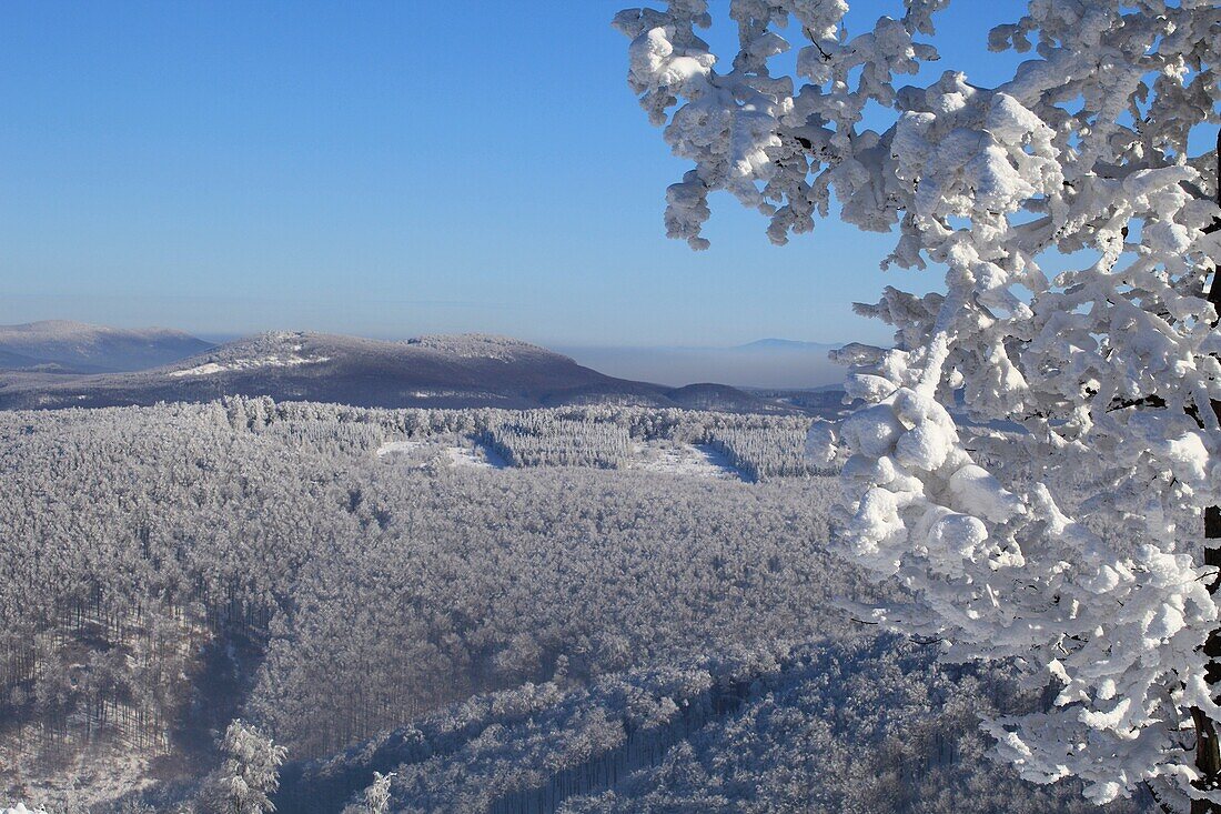 Winter scenery at Skalnata, Male Karpaty, Slovakia