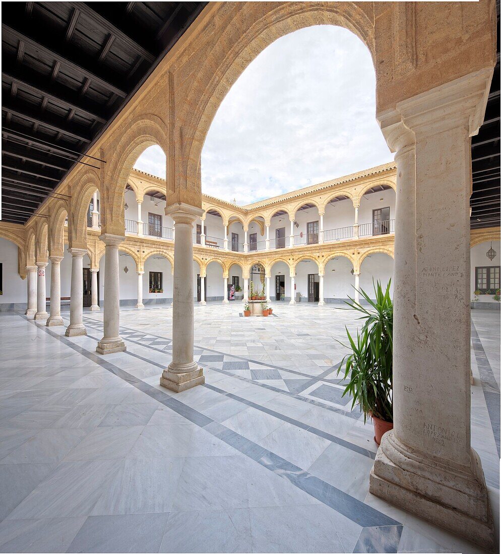 Former University 16th century, town of Osuna, province of Seville, Spain