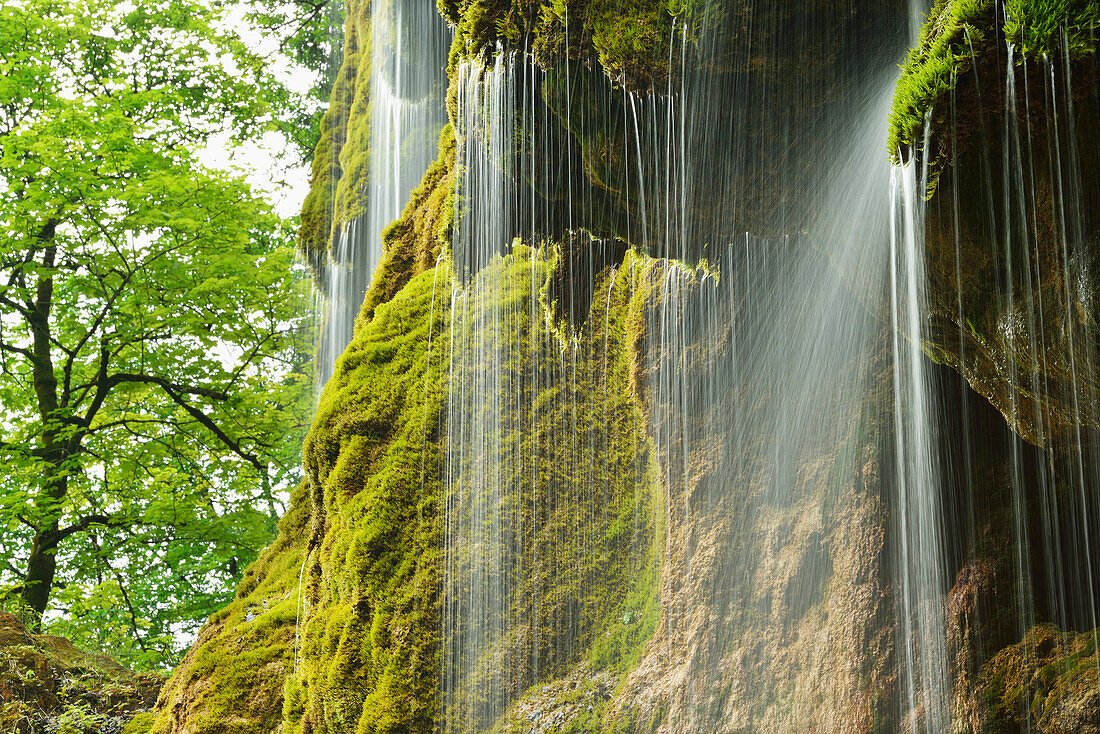 Wasser fließt über bemooste Felswand, Naturdenkmal Schleierfall, Schleierwasserfall, Ammer, Pfaffenwinkel, Garmisch-Partenkirchen, Oberbayern, Bayern, Deutschland