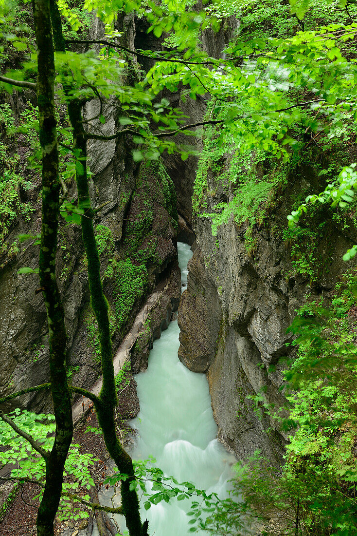 Gebirgsbach Partnach fließt durch Felsenklamm, Partnachklamm, Garmisch, Wettersteingebirge, Oberbayern, Bayern, Deutschland