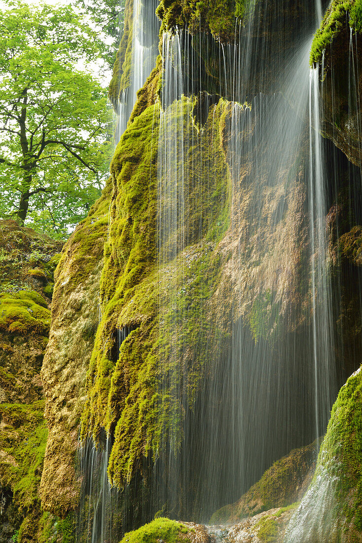 Water running over a moss-covered rock face, Schleierfall, Schleier waterfall, Ammer, Pfaffenwinkel, Garmisch, Upper Bavaria, Bavaria, Germany