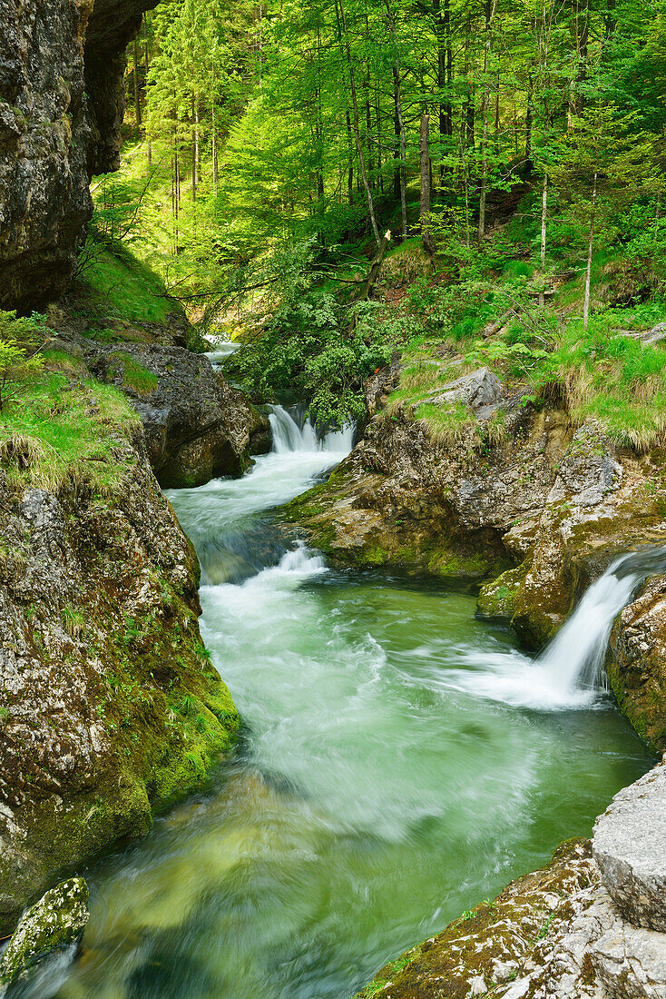 Weissbach stream running through a gorge, Weissbachklamm, Chiemgau, Chiemgau range, Upper Bavaria, Bavaria, Germany