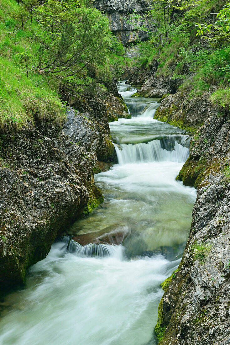 Weißbach fließt durch Weißbachklamm, Chiemgau, Chiemgauer Alpen, Oberbayern, Bayern, Deutschland