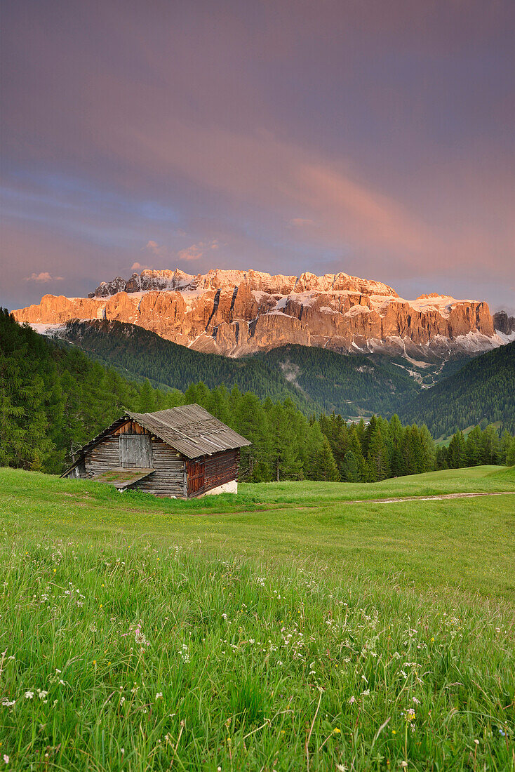 Hay barn in front of the Sella range with alpenglow, Val Gardena, Dolomites, UNESCO world heritage site Dolomites, South Tyrol, Italy