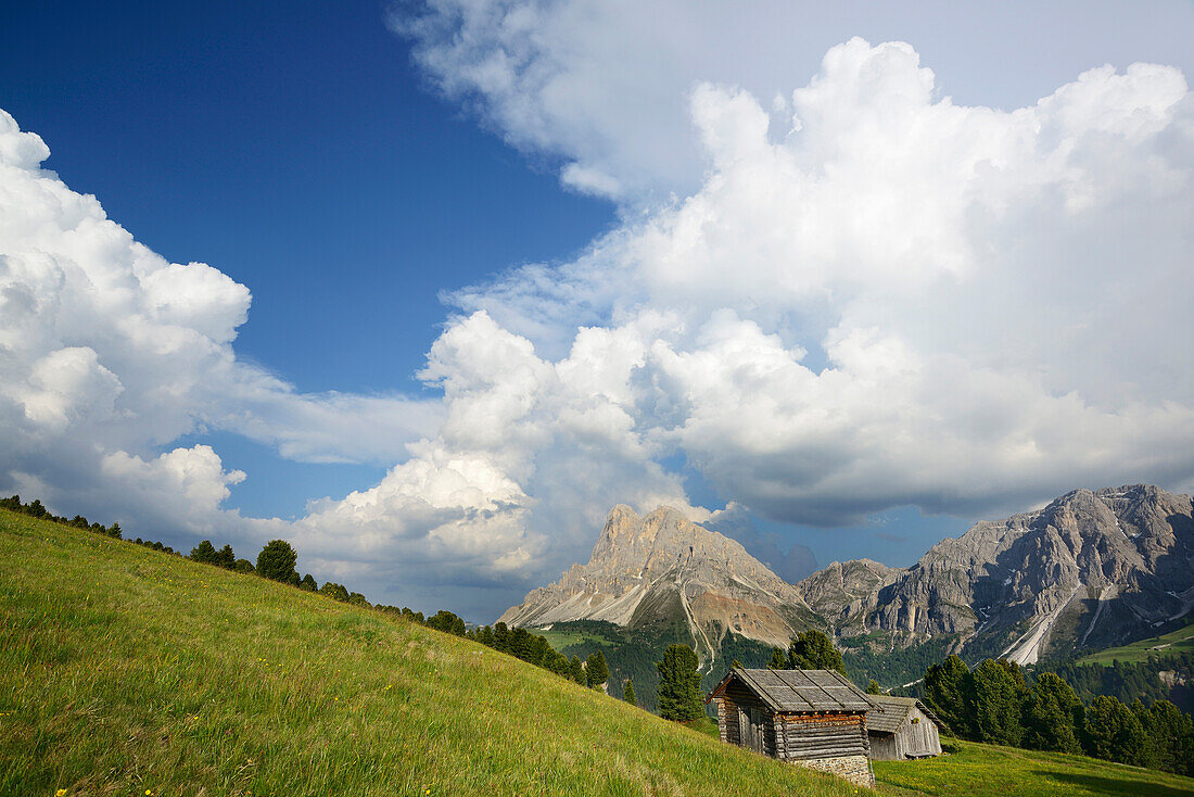 Alpine meadow and hay barn in front of Peitlerkofel, Wuerzjoch, Dolomites, UNESCO world heritage site Dolomites, South Tyrol, Italy