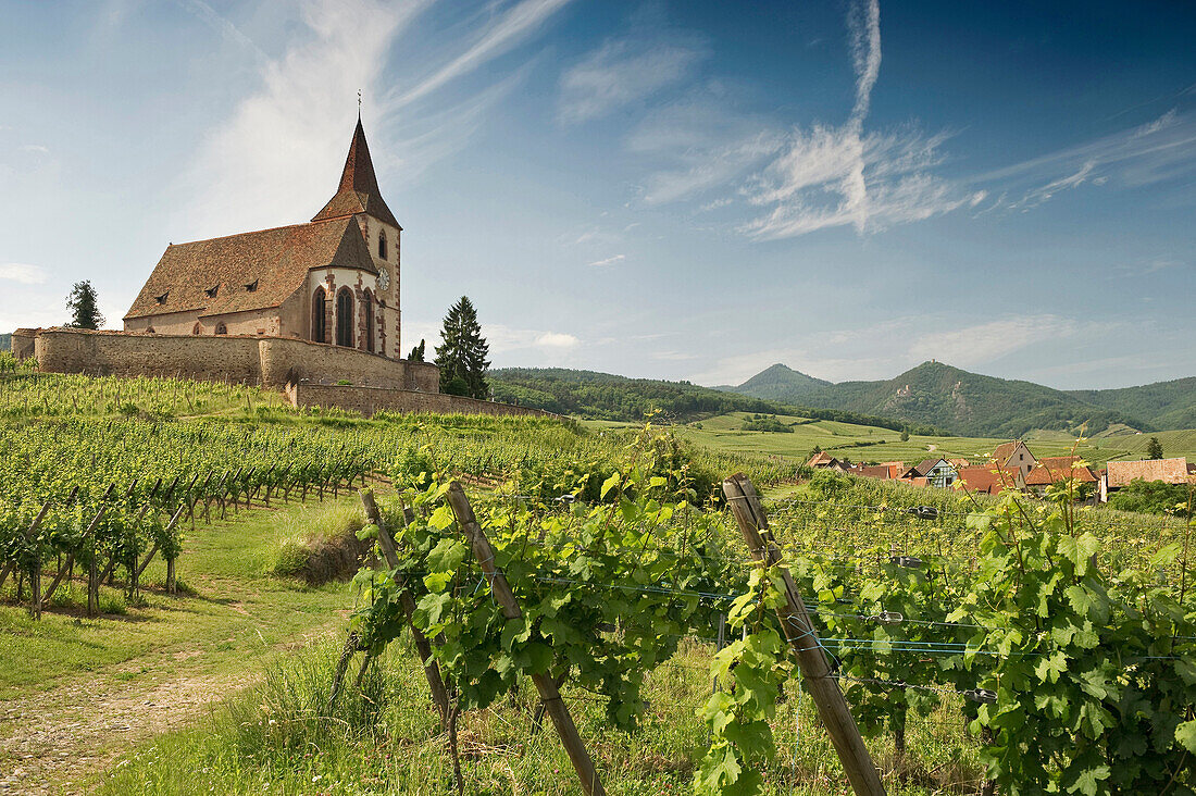 St Jacques Church, panoramic view and vineyards, Hunawihr, Alsace, France