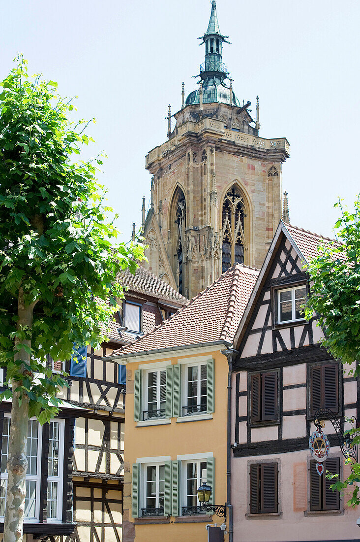 St. Martin's church behind half-timbered houses, Collégiale Saint-Martin, Colmar, Alsace, France