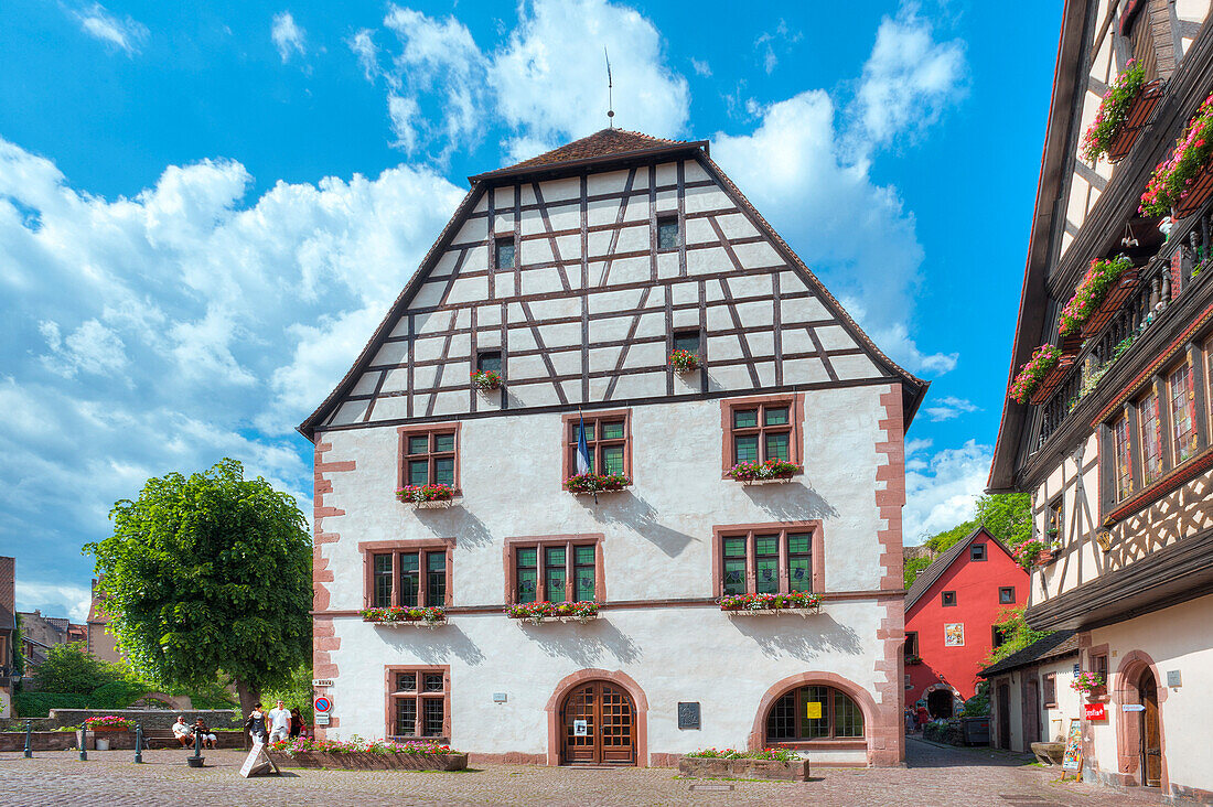 Half timbered house in the sunlight, Kaysersberg, Alsace, France, Europe