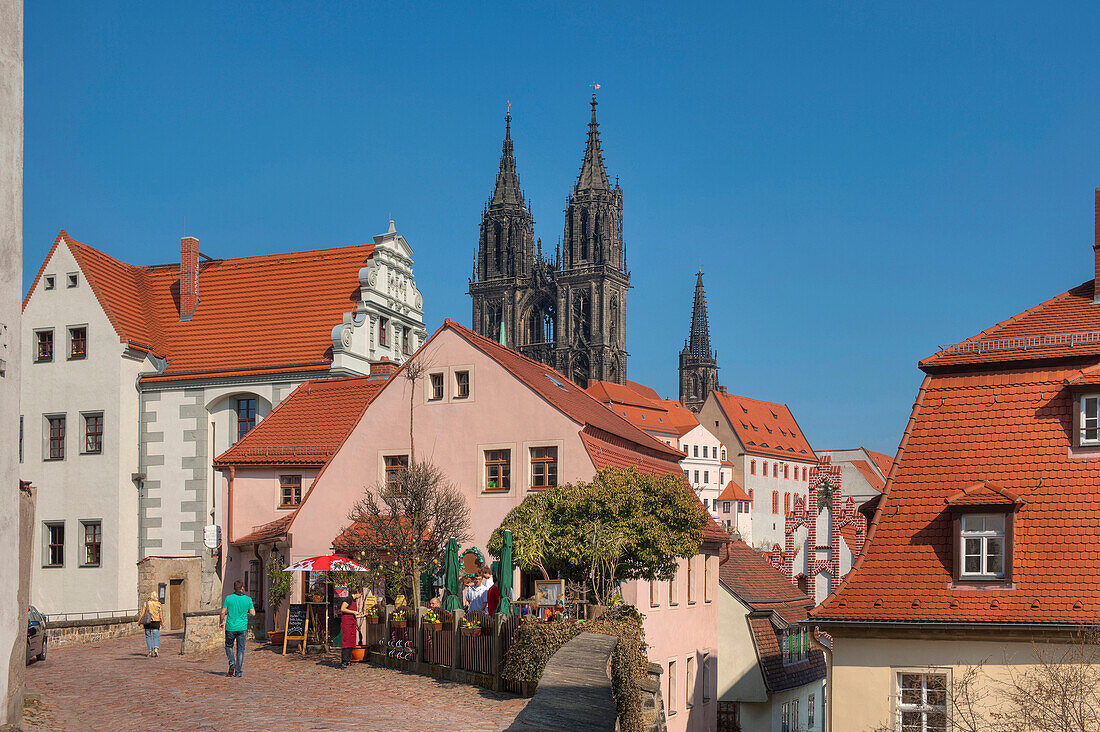 Restaurant in front of Albrechtsburg castle with cathedral, Meissen, Saxony, Germany, Europe