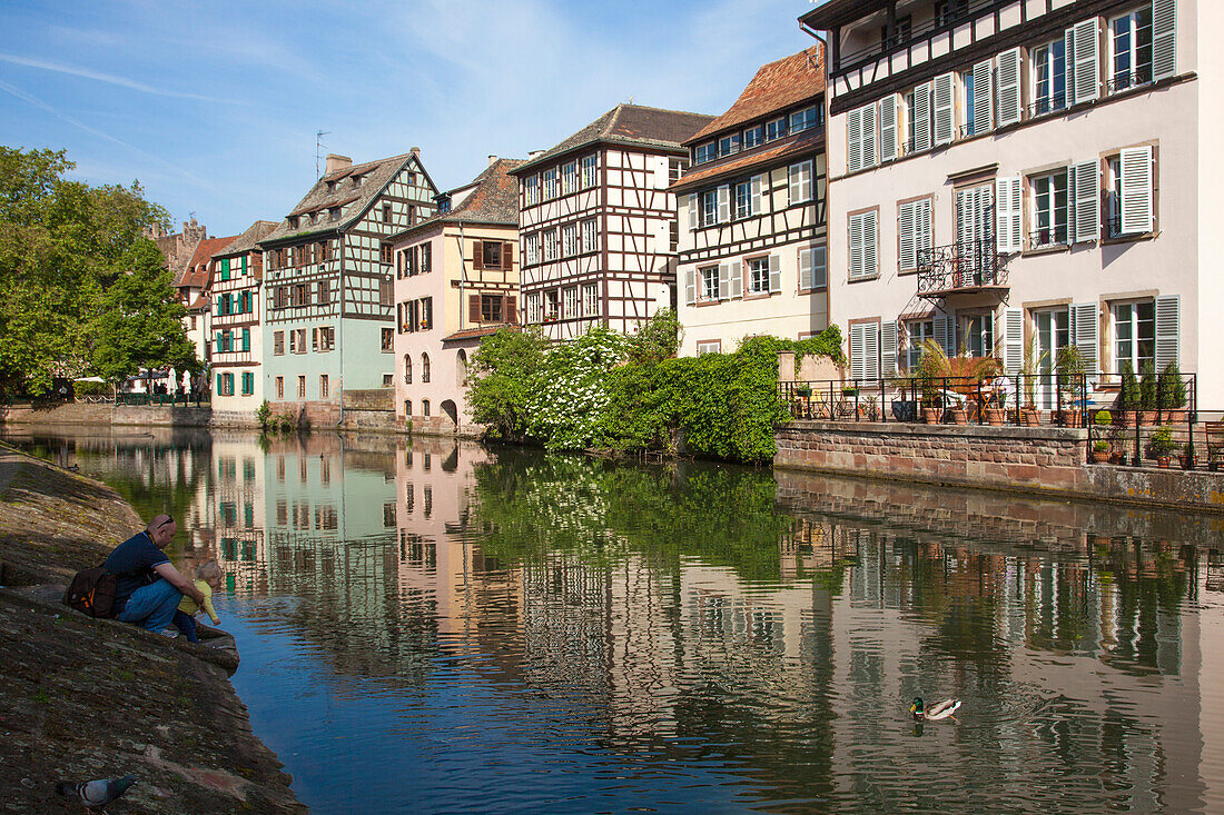 Father and daughter feeding ducks along canal with half timbered houses in La Petite France district, Strasbourg, Alsace, France, Europe