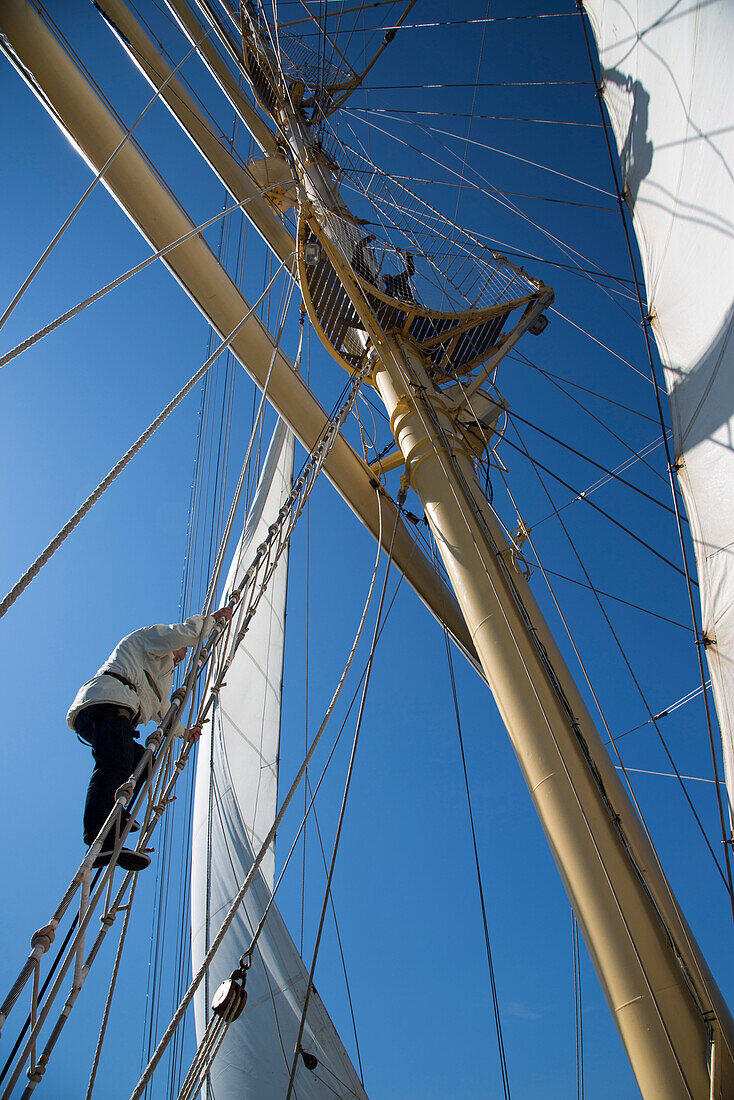 Mann klettert auf den Mast von Großsegler Star Flyer während einer Kreuzfahrt auf der Ostsee, Schweden, Europa
