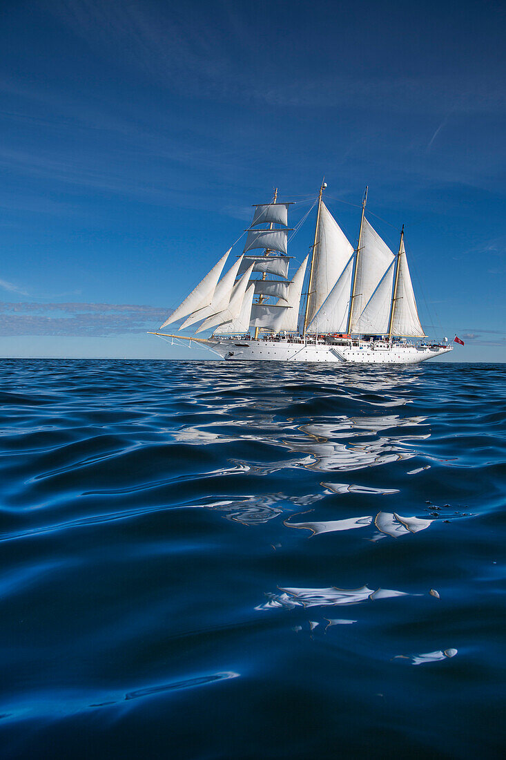 Großsegler Star Flyer unter vollen Segeln während einer Kreuzfahrt auf der Ostsee, Finnland, Europa