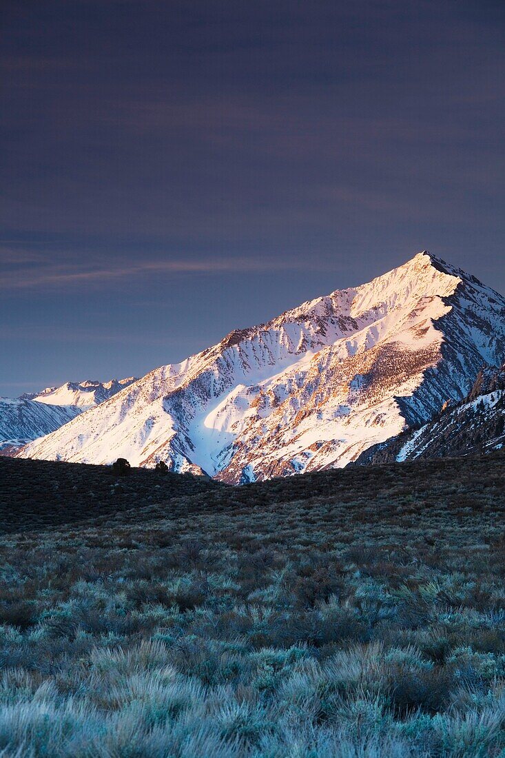 USA, California, Eastern Sierra Nevada Area, Alta Vista, Sierra Nevada Mountains, view of Mt  Tom, elevation 13,652 feet, sunrise