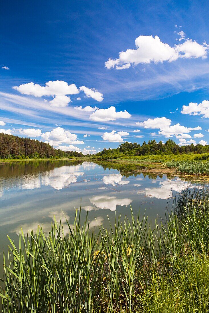 Russia, Pskovskaya Oblast, Pushkinskie Gory, lake at Mikhailovskoye, the Alexander Pushkin Preserve, estate of famous Russian poet