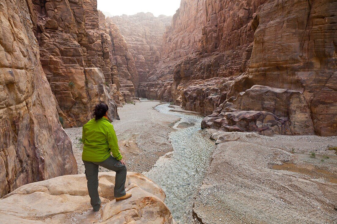 Mujib Canyon Nature Reserve, Rift Valley, Dead Sea, Jordan, Middle East