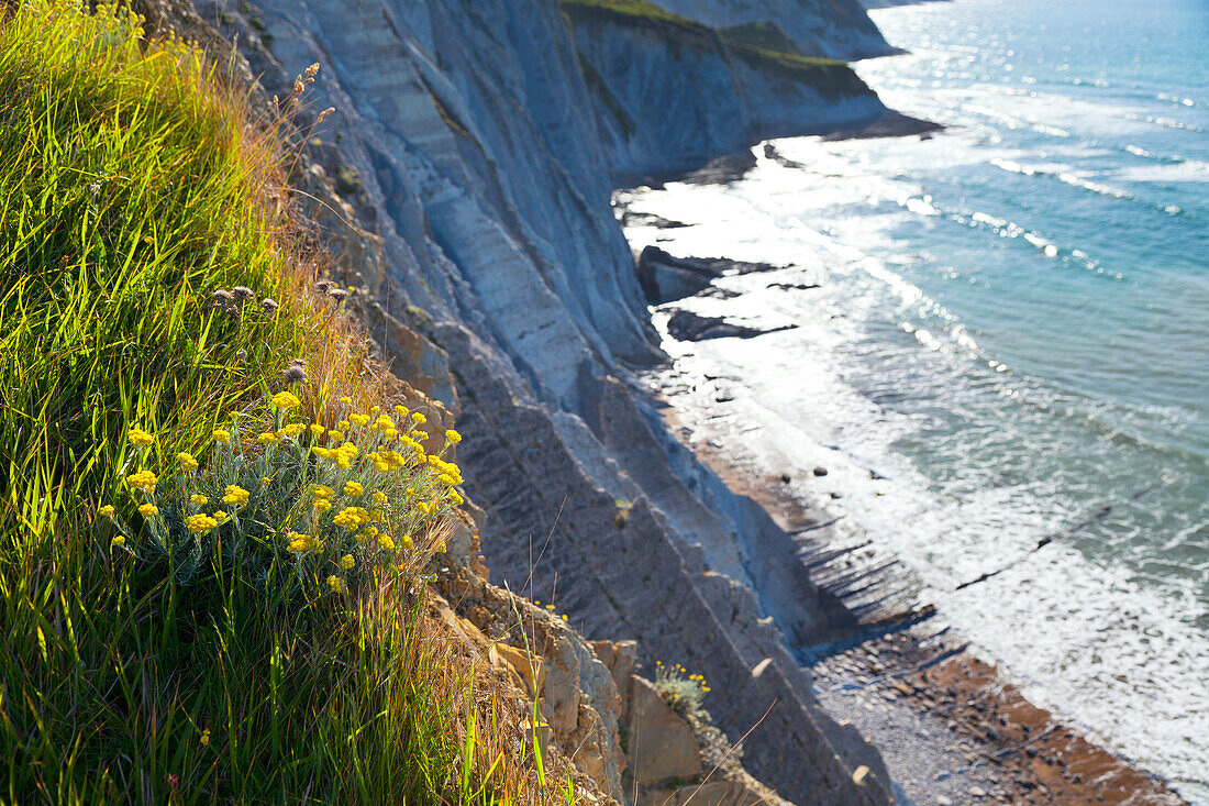 Flysch, Sakoneta beach, Deva, Gipuzkoa, The Basque Country, The Bay of Byscay, Spain, Europe.