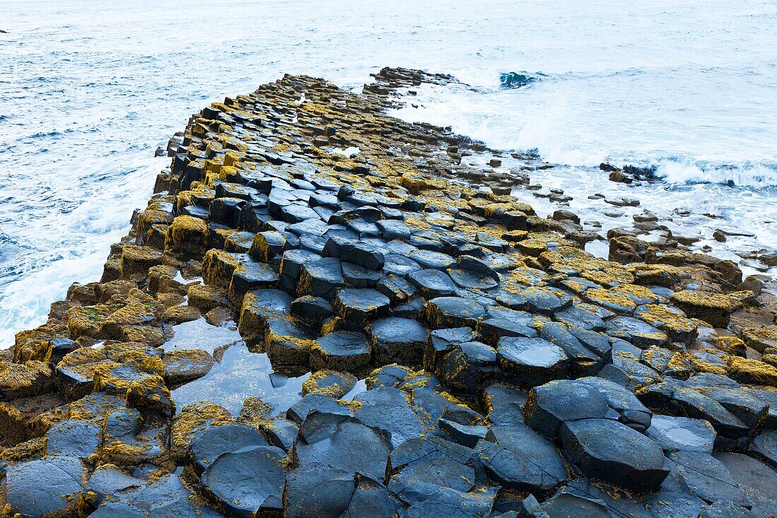 The Giant´s Causeway  World Heritage Site  Causeway Coastal Route  Antrim County, Northern Ireland, Europe