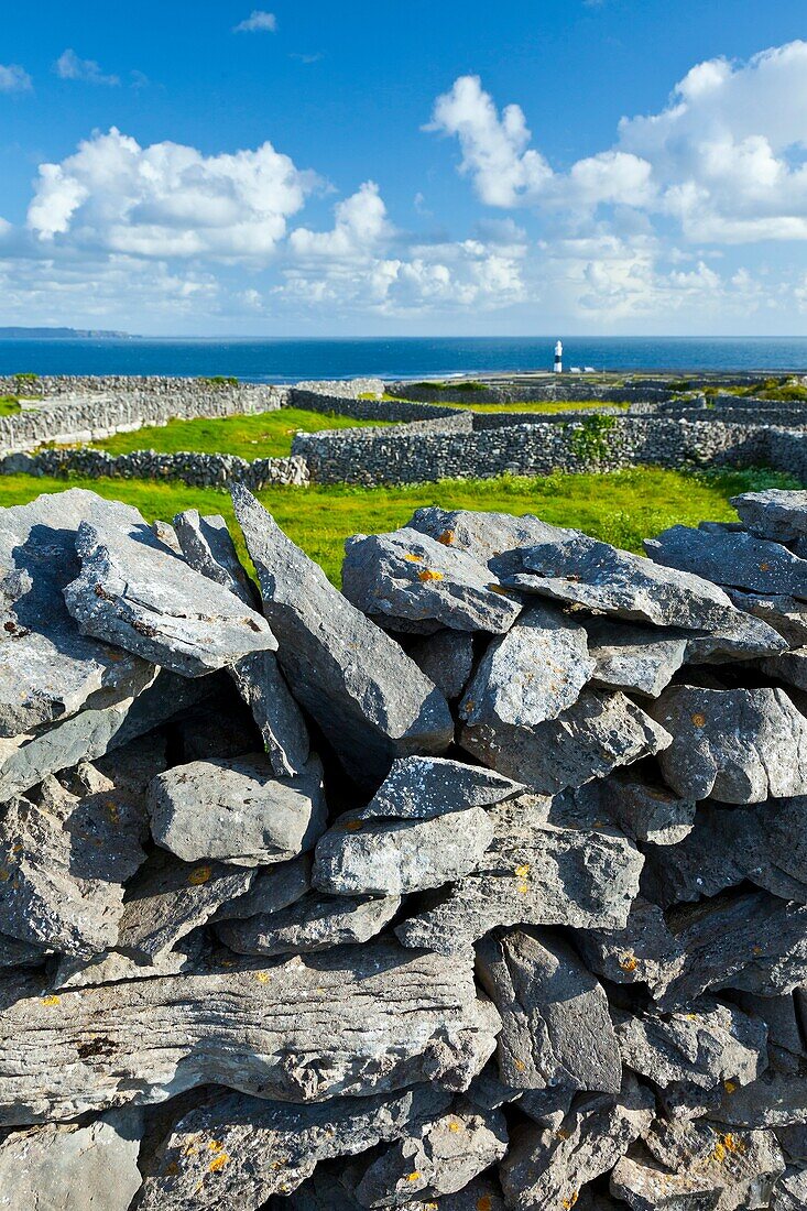 Lighthouse  Southern Island  Inisheer Island - Inis Oirr  Aran Islands, Galway County, West Ireland, Europe