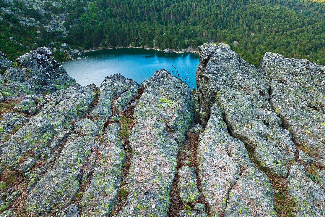 Laguna Negra y los Circos Glaciares de Urbion Natural Park  Soria Province  Castilla y Leon  Spain