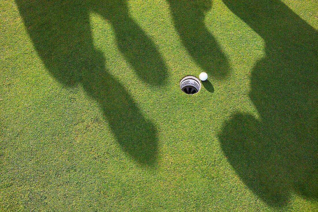 Schatten von vier Männern beim Golfspielen