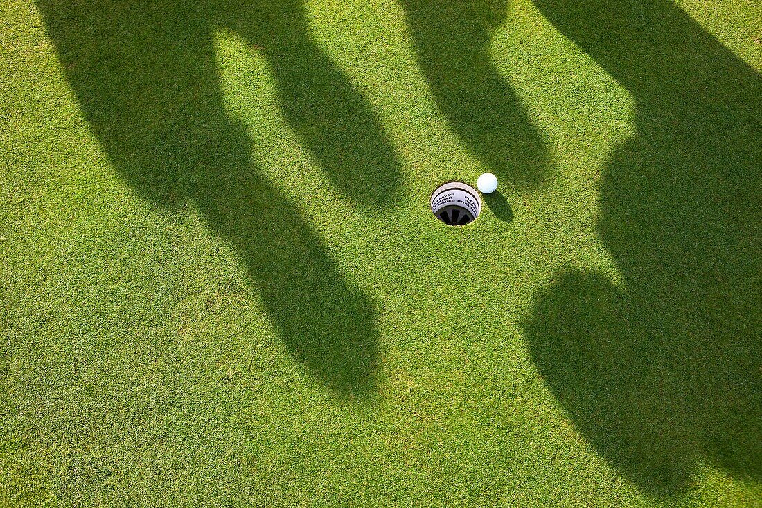 Shadows of four men playing Golf