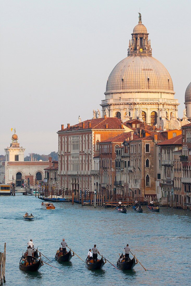 Gondeln auf dem Canale Grande in Venedig, Italien