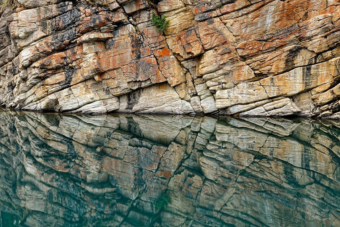 Reflections in Horseshoe Lake, Jasper NP, Alberta, Canada