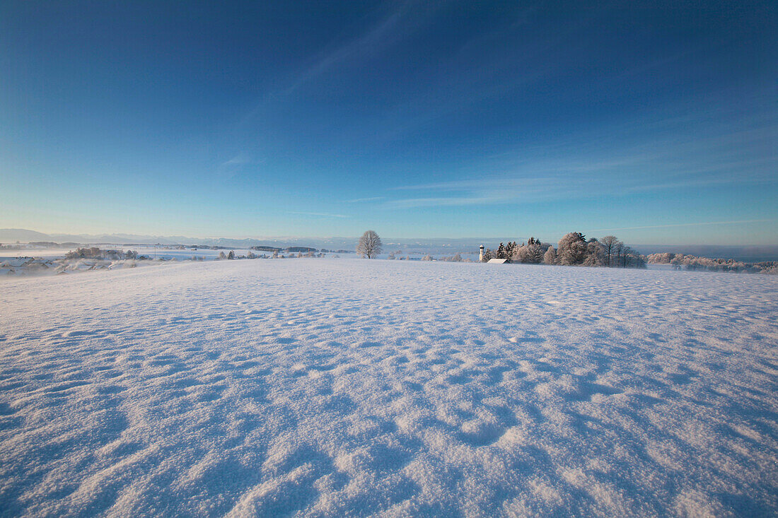 Winterlandschaft am Morgen, Münsing, Bayern, Deutschland