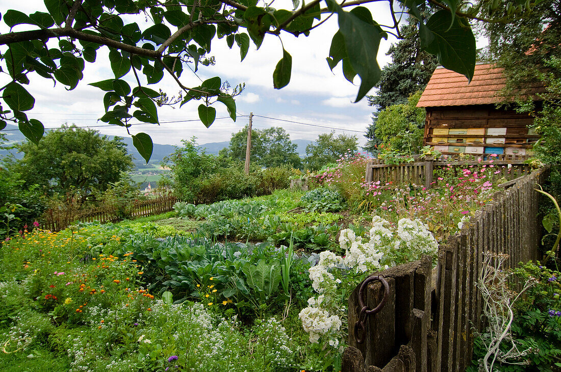 Cottage garden with beehives, Styria, Austria