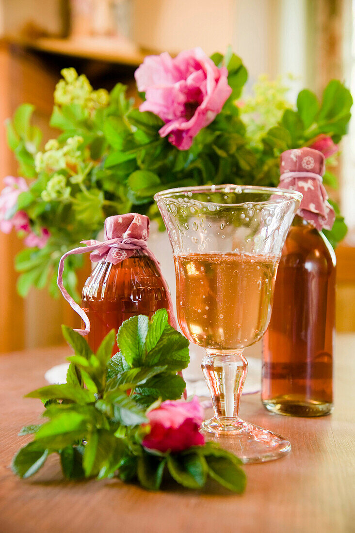Homemade rose hip syrup, juice, liqueur, homemade, Bavaria, Germany