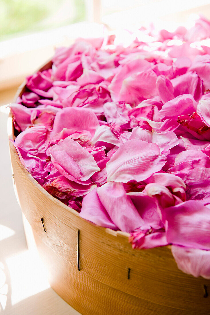 Getrocknete pinkfarbene Rosenblätter, Selbstgemachtes